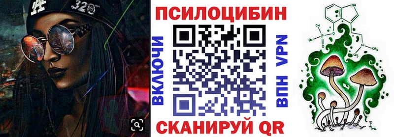где купить наркотик  Балей  darknet наркотические препараты  Псилоцибиновые грибы GOLDEN TEACHER 